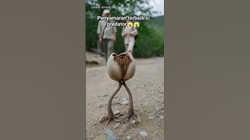 Helpful tips and tricks. Always use correct dowel #shrots #tips #skills #viral #shortsfeed