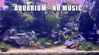 Relaxing Aquarium Fish Tank Sounds with water sounds. No Music  Aquarium Sounds For Sleeping