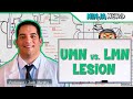 Neurology  upper motor neuron vs lower motor neuron lesion  umn vs lmn lesion