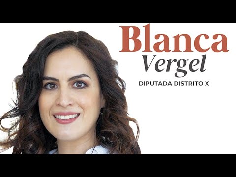BLANCA VERGEL - Diputada Distrito X