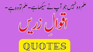 Aqwal e Zareen in Urdu | Quotes #quotes #quote #lifequotes#urduquotes