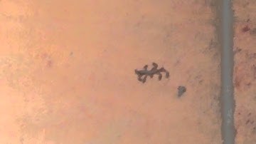 Now This is Determination...