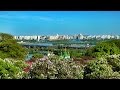 Vlog: Ботанический сад, Киев. Сирень.Тюльпан. Магнолия.