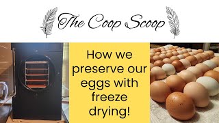 How we freeze dry our eggs, long term storage, no refrigeration -with a Harvest Right Freeze Dryer