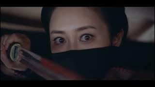 Nirvana in Fire MASKED FEMALE Assassin