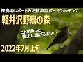 軽井沢野鳥の森の探鳥地レポートです　野鳥は多いのですが…　2022年7月上旬