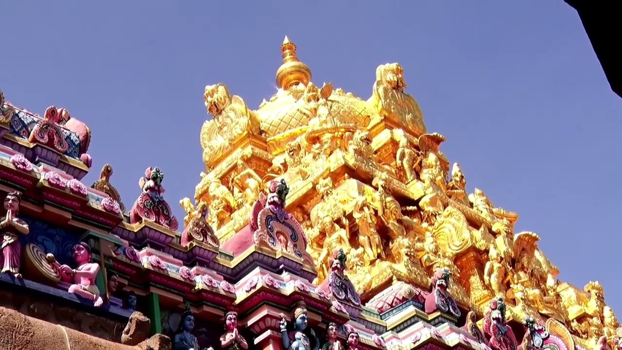 Srivilliputtur 🙏 Thaayaar 🙏Rengamannar kambeeram 🙏unbelievable massive appearances 🙏Wow just woooow.