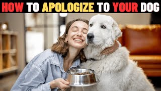 14 Ways How to Apologize to Your Dogs