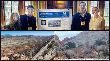 UMSI students advance wildlife research with motion-sensor camera data