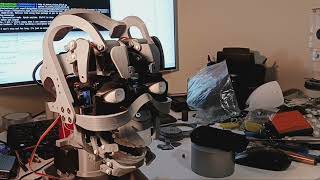 Ai Animatronic Using Eyebrows To Express Anger