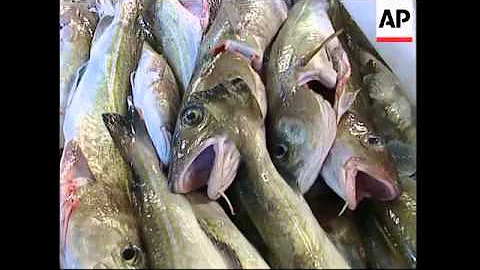 EU ministers agree to cut fishing quotas. Scottish, UK comments