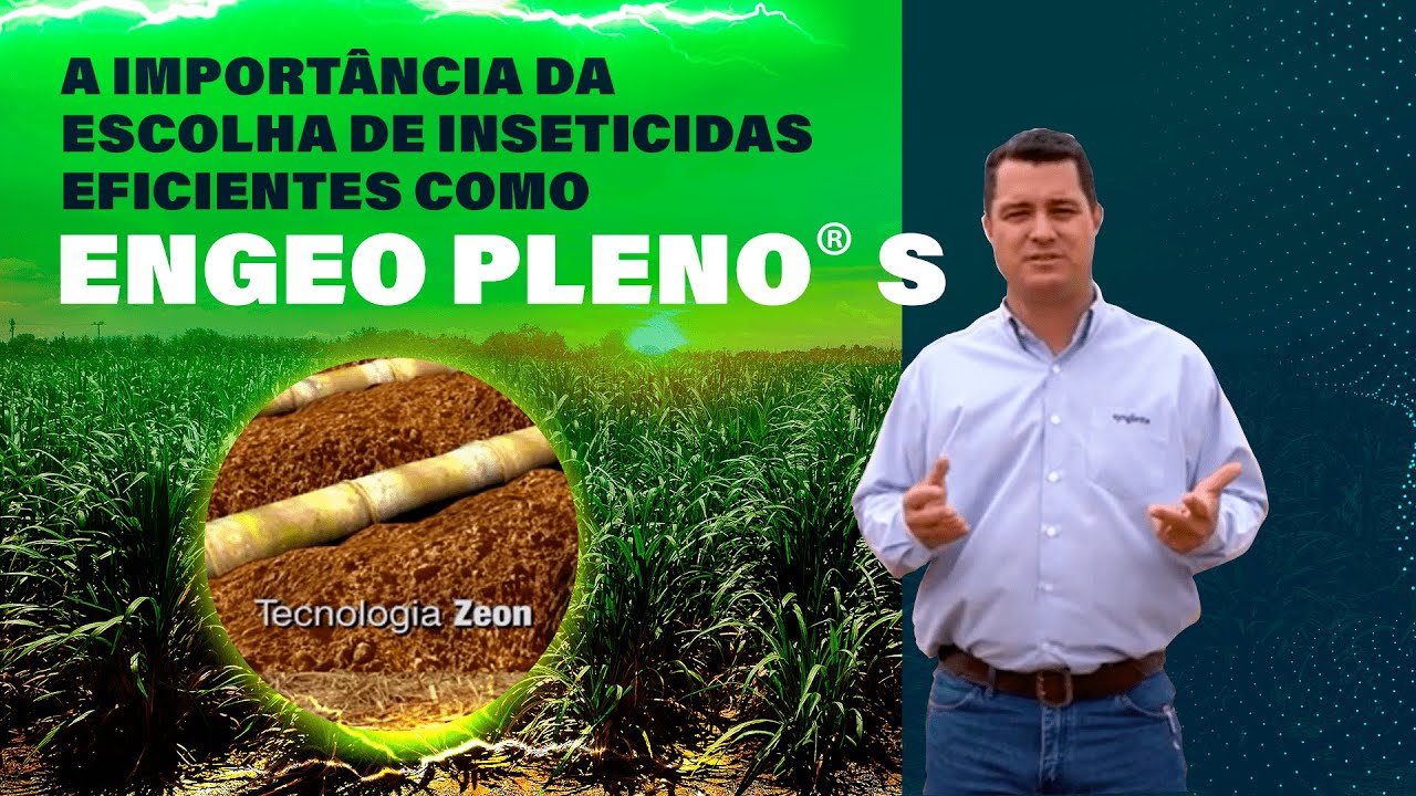 Manejo contra Sphenophorus levis no corte de soqueira com Engeo Pleno® S: Episódio 3