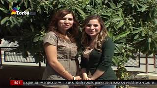 torba tv