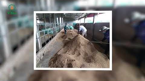 HƯỚNG DẪN LÀM ĐỆM LÓT SINH HỌC - Cách sử dụng đệm lót sinh học hiệu quả 100%