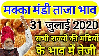 31 जूलाई 2020 मक्का मंडी ताजा भाव,मक्का भाव में भारी तेजी,maize bhav today,makka bhav,mandi bhav tod