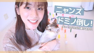 にゃんずはお年玉チュールにありつけるのか？！