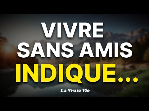 L'ABSENCE D'AMIS suggère