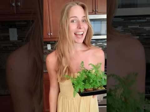 grow your carrot