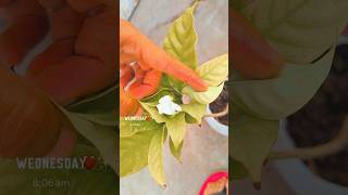 Download Lagu lov is nature.... MP3