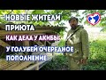 Новые жители приюта | Как дела у Акибы | Очередное пополнение у голубей