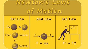 Newton