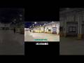 今朝の魚市場3月25日水曜日の水揚げ速報#shorts