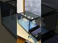 PCと拡張ディスプレイの中でホロライブ5期生の皆様に「BLUE CLAPPER」を踊っていただきました！