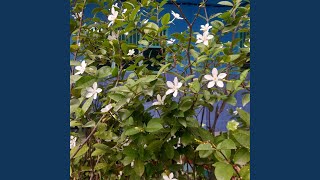 Bergerak Dengan Semangat