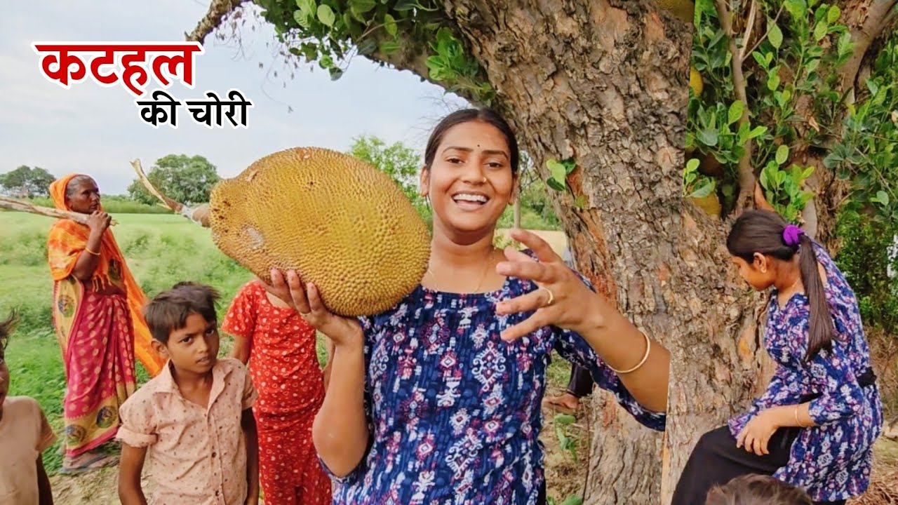 आचार के लिए चोरी छुपे तोड़ना पड़ा कटहल || Shivani kumari