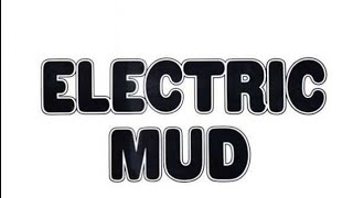 Video thumbnail of "Muddy Waters - I Just Want to Make Love to You (Electric Mud)"