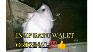INAP RATU WALET,INAP SP SRIWIJAYA