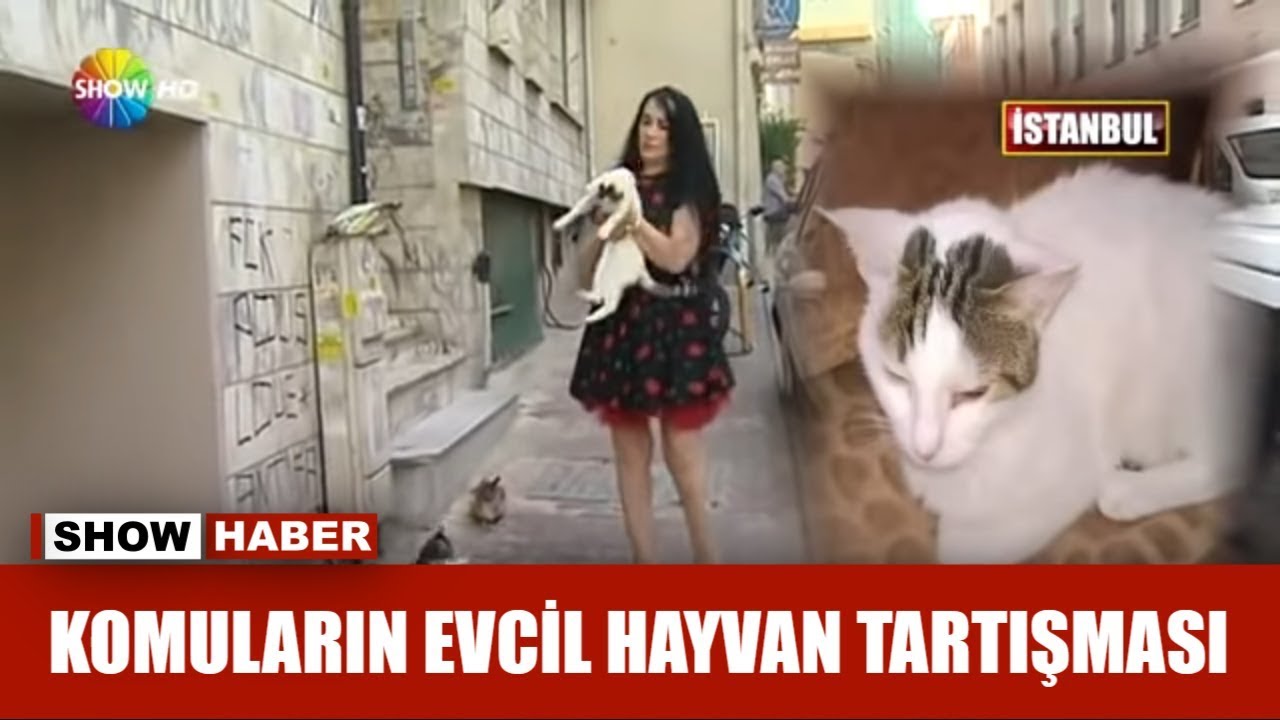 ⁣Komşuların evcil hayvan tartışması