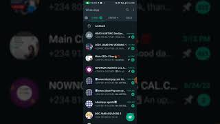 How to Pin More Than Three (3) Chats On WhstsApp || Whatsapp Marketing screenshot 5