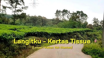 Langitku - Kertas Tissue | Langitku Membiru - Kebun Teh Cianten