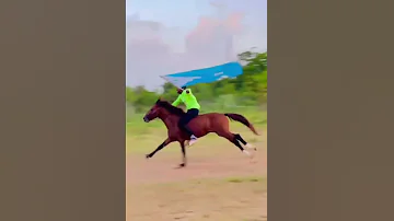 Farda Full Murusade Ah Iyo Calanka Galmudug Daawo 