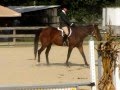 Taylor and Clarence@the Four Seasons Horse Show