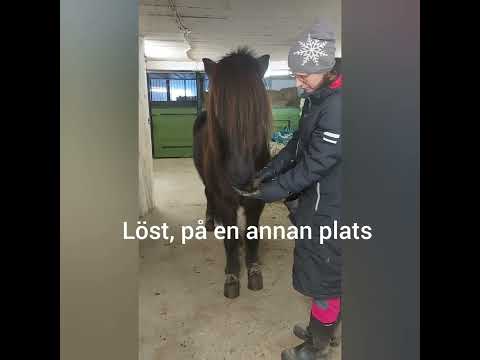 Video: Vem påstod att beteendet påverkas av positiv förstärkning?