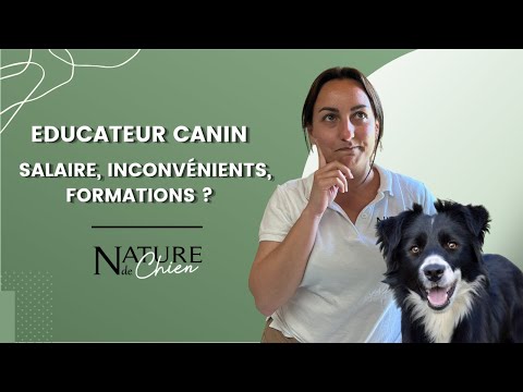 Vidéo: Comment devenir un dresseur de chiens: de la certification à l'apprentissage