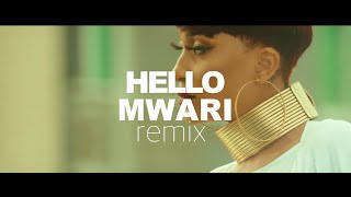 Jah Master - Hello Mwari Remix ft. Haitham Kim