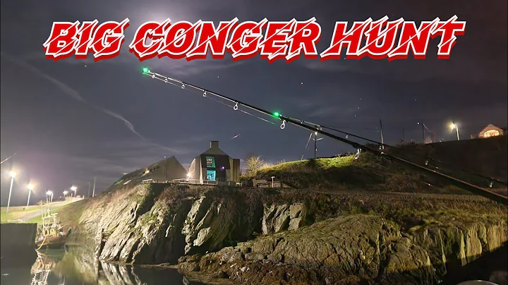 Fishing for BIG CONGER in Amlwch Harbour