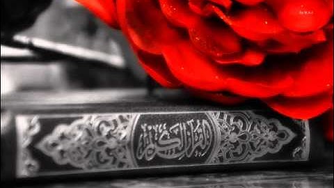 سورة التكاثر احمد نعينع