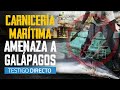 Los buques chinos de la muerte en Galápagos - Testigo Directo