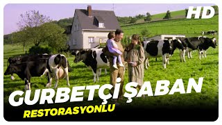 Gurbetçi Şaban | Eski Türk Filmi Tek Parça (Kemal Sunal)