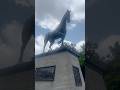😍🥰Kala ghora#black horse#wildlifeshorts#animal lover#Statue of adventure#shorts#beast