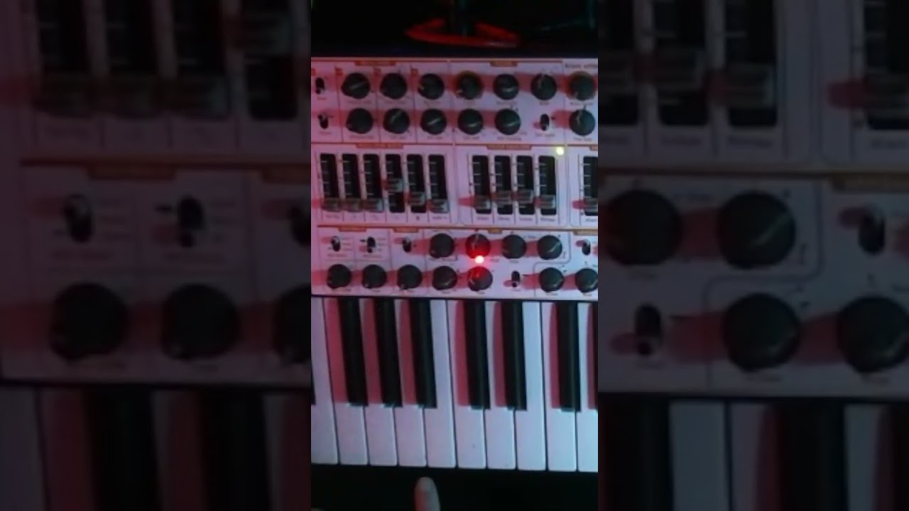 arturia minibrute live. 