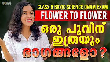 Class 6 Basic Science | Flower to Flower/പൂവിൽ നിന്നു പൂവിലേക്ക് | Exam Winner Class 6