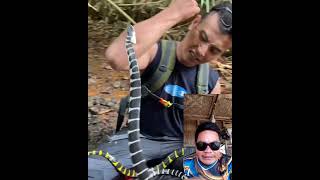 Kuyawa Tawhana Papaak Man Og Wati