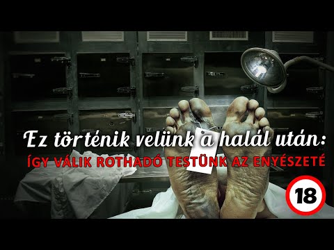 Videó: Hogyan vannak a kacsa tojás megtermékenyítve?