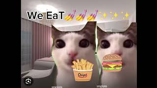POV:me and my bff tarrence finally having a sleepover in my place (cat version)#cats#meme