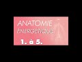 Anatomie nergtique n1  5  rdition rtrospective